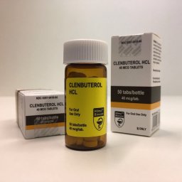 Clenbuterol (Hilma) - Clenbuterol - Hilma Biocare Clenbuterol (Hilma) - Clenbuterol - Hilma Biocare