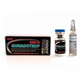 Gonadotropin BodyPharm for sale