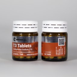 T3 Tablets for sale