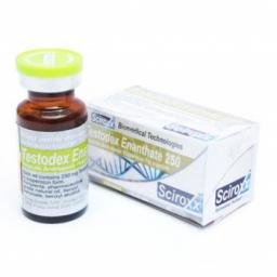 Testodex Enanthate 250 - Testosterone Enanthate - Sciroxx