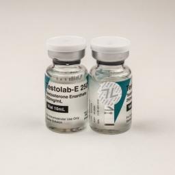 Testolab-E 250 (Testosterone Enanthate) - Testosterone Enanthate - 7Lab Pharma, Switzerland