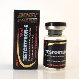 Testosteron E - Testosterone Enanthate - BodyPharm