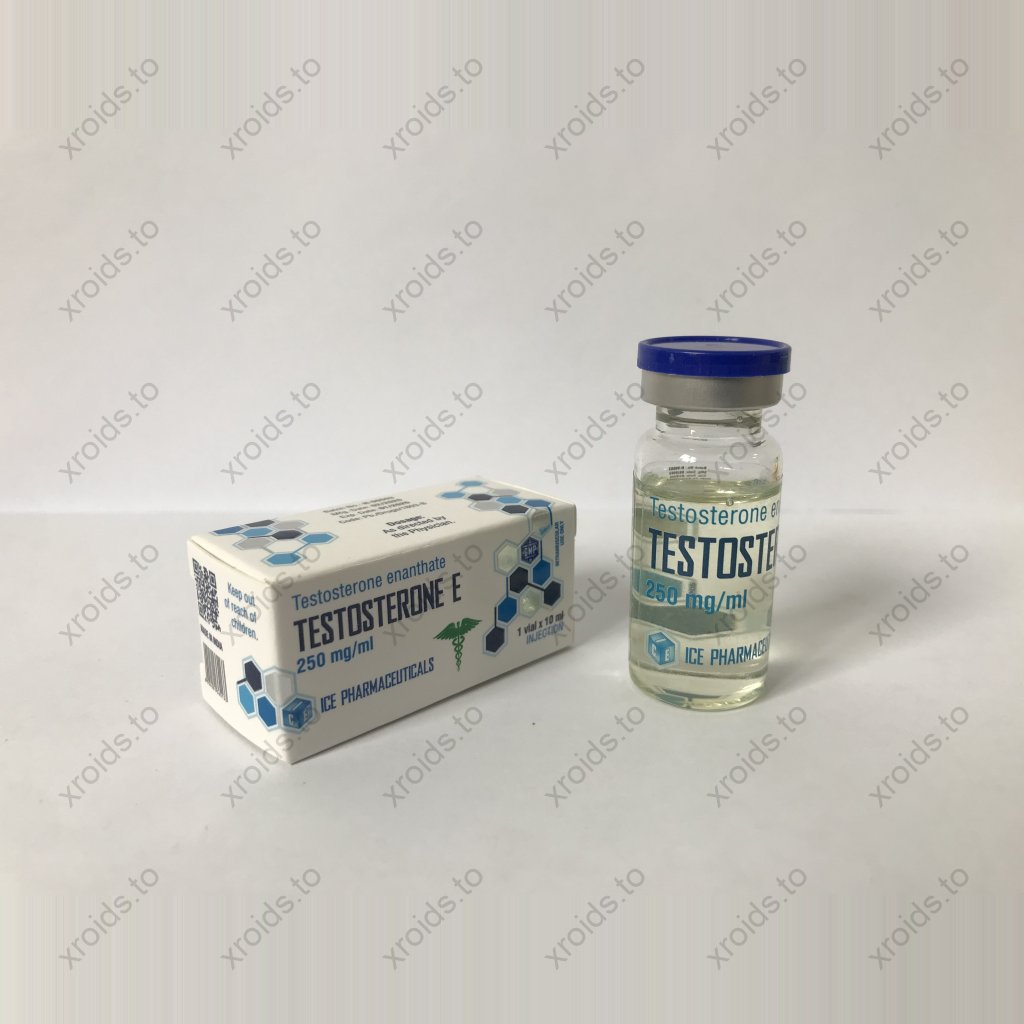 Testosterone E 10ml - Testosterone Enanthate - Ice Pharmaceuticals Testosterone E 10ml - Testosterone Enanthate - Ice Pharmaceuticals