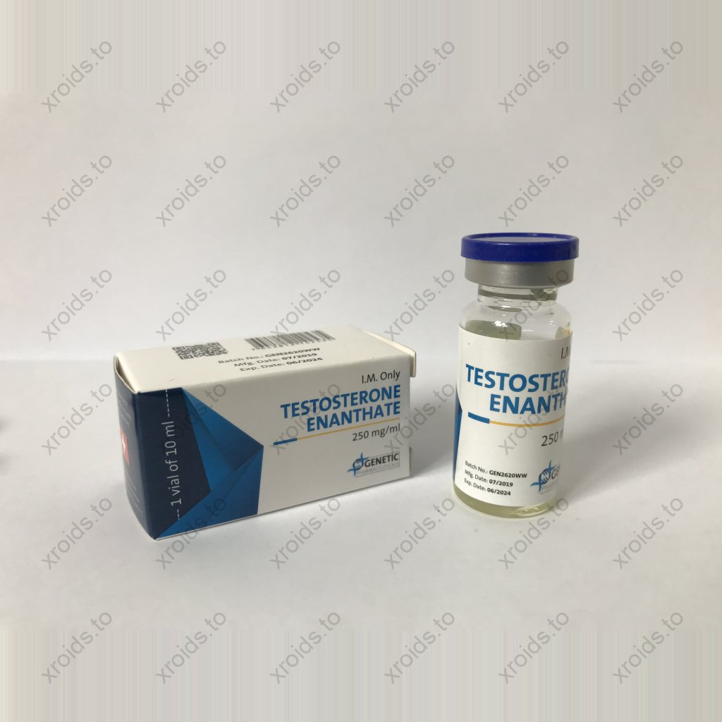 Testosterone Enanthate 10ml - Testosterone Enanthate - Genetic Pharmaceuticals Testosterone Enanthate 10ml - Testosterone Enanthate - Genetic Pharmaceuticals