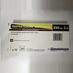 Testosterone Enanthate for sale