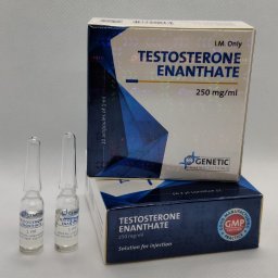 Testosterone Enanthate (Genetic) for sale