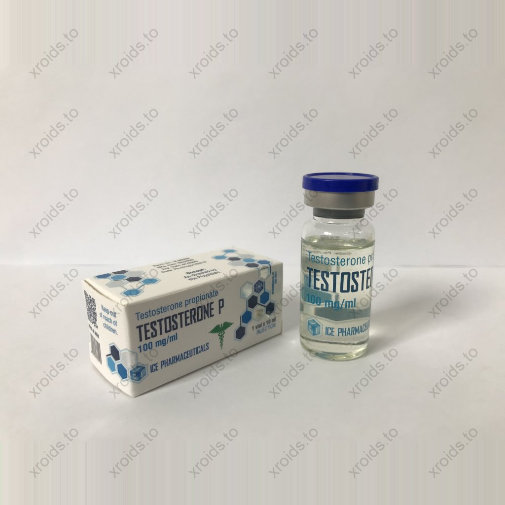 Testosterone P 10ml - Testosterone Propionate - Ice Pharmaceuticals Testosterone P 10ml - Testosterone Propionate - Ice Pharmaceuticals