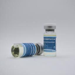 Testoxyl Enanthate 250 (Testosterone Enanthate) for sale