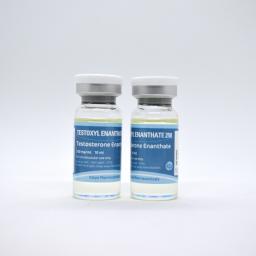 Testoxyl Enanthate 250 (Testosterone Enanthate) - Testosterone Enanthate - Kalpa Pharmaceuticals LTD, India