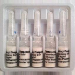 Testoxyl Suspension 100 (Testosterone Suspension) - Testosterone Suspension - Kalpa Pharmaceuticals LTD, India